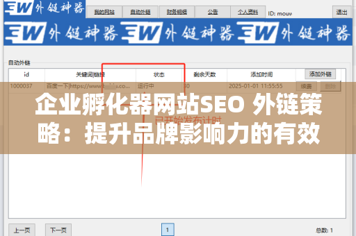 企业孵化器网站SEO 外链策略：提升品牌影响力的有效途径