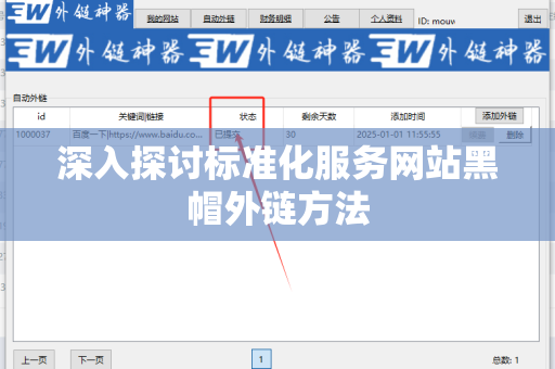深入探讨标准化服务网站黑帽外链方法