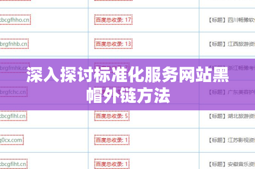 深入探讨标准化服务网站黑帽外链方法