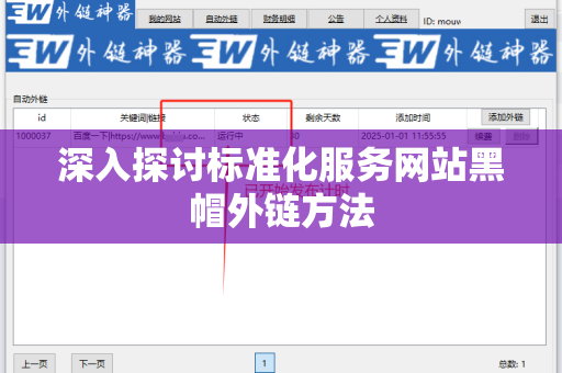 深入探讨标准化服务网站黑帽外链方法