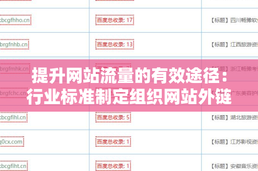 提升网站流量的有效途径：行业标准制定组织网站外链代发服务