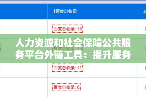 人力资源和社会保障公共服务平台外链工具：提升服务效率的关键