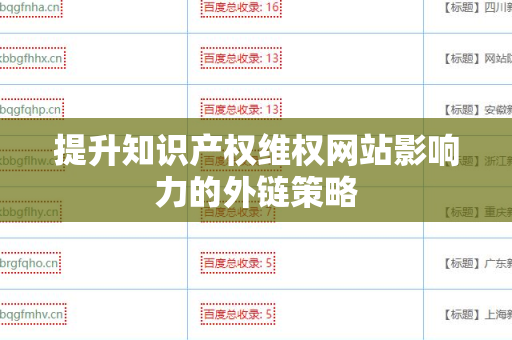 提升知识产权维权网站影响力的外链策略