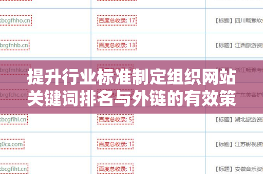 提升行业标准制定组织网站关键词排名与外链的有效策略