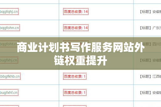 商业计划书写作服务网站外链权重提升