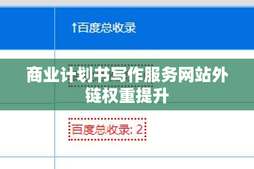 商业计划书写作服务网站外链权重提升
