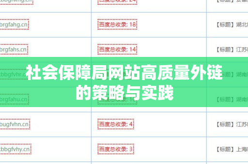社会保障局网站高质量外链的策略与实践