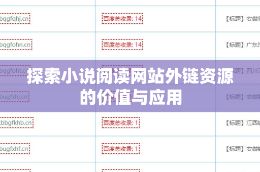 探索小说阅读网站外链资源的价值与应用