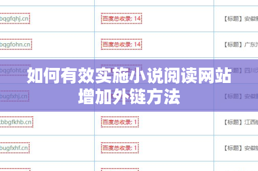 如何有效实施小说阅读网站增加外链方法