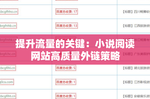 提升流量的关键：小说阅读网站高质量外链策略