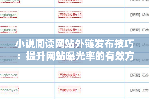 小说阅读网站外链发布技巧：提升网站曝光率的有效方法