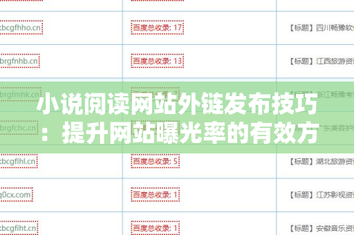 小说阅读网站外链发布技巧：提升网站曝光率的有效方法