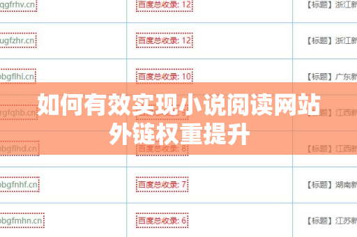 如何有效实现小说阅读网站外链权重提升