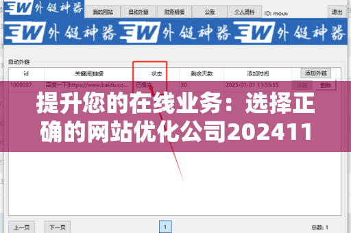 提升您的在线业务：选择正确的网站优化公司20241105