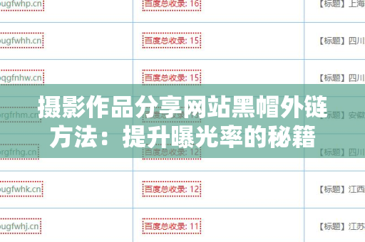 摄影作品分享网站黑帽外链方法：提升曝光率的秘籍
