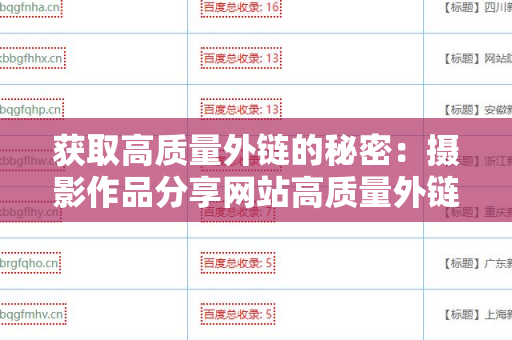 获取高质量外链的秘密：摄影作品分享网站高质量外链的有效策略