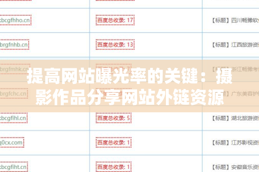 提高网站曝光率的关键：摄影作品分享网站外链资源