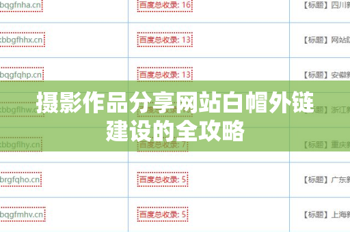 摄影作品分享网站白帽外链建设的全攻略