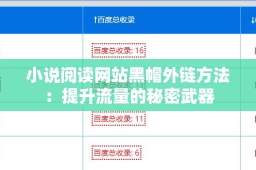 小说阅读网站黑帽外链方法：提升流量的秘密武器