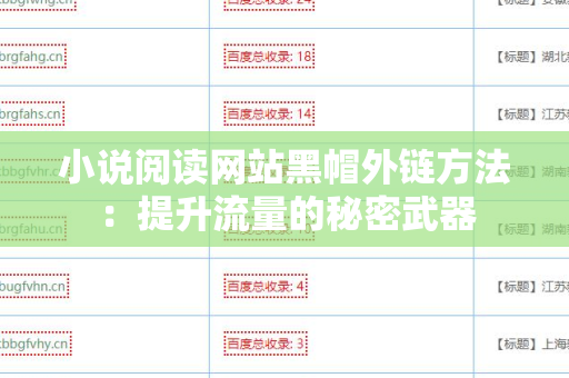 小说阅读网站黑帽外链方法：提升流量的秘密武器