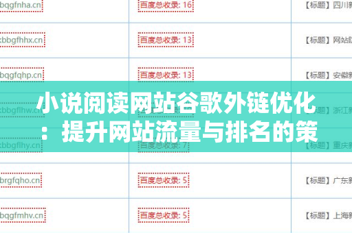 小说阅读网站谷歌外链优化：提升网站流量与排名的策略