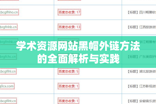 学术资源网站黑帽外链方法的全面解析与实践