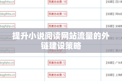 提升小说阅读网站流量的外链建设策略