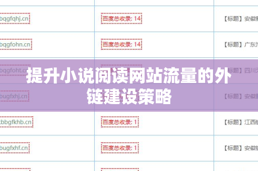 提升小说阅读网站流量的外链建设策略