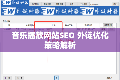 音乐播放网站SEO 外链优化策略解析