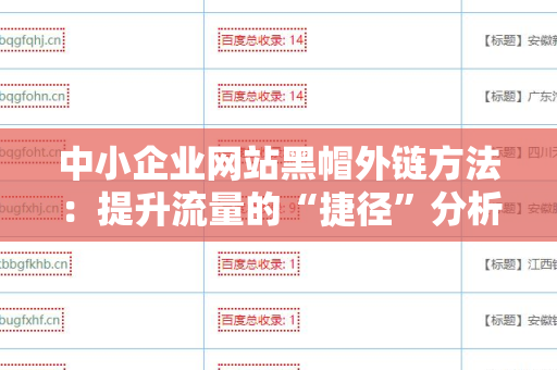 中小企业网站黑帽外链方法：提升流量的“捷径”分析