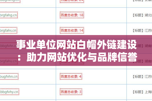 事业单位网站白帽外链建设：助力网站优化与品牌信誉