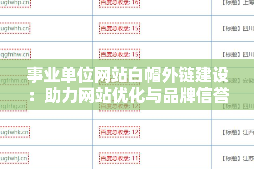 事业单位网站白帽外链建设：助力网站优化与品牌信誉