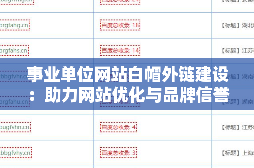 事业单位网站白帽外链建设：助力网站优化与品牌信誉