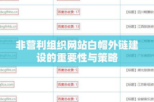 非营利组织网站白帽外链建设的重要性与策略