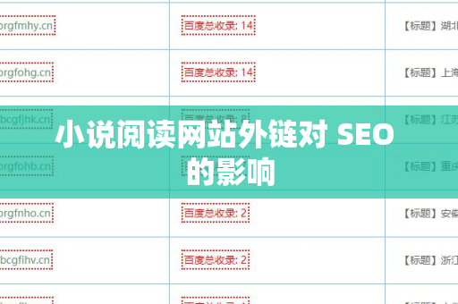 小说阅读网站外链对 SEO 的影响
