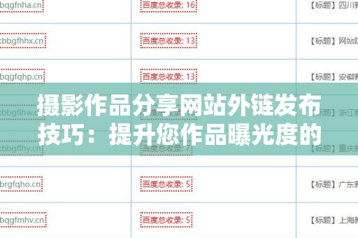 摄影作品分享网站外链发布技巧：提升您作品曝光度的终极指南