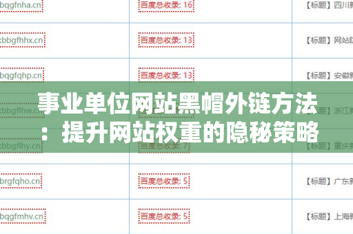 事业单位网站黑帽外链方法：提升网站权重的隐秘策略