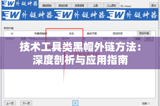 技术工具类黑帽外链方法：深度剖析与应用指南