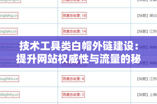 技术工具类白帽外链建设：提升网站权威性与流量的秘密武器
