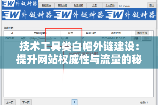 技术工具类白帽外链建设：提升网站权威性与流量的秘密武器