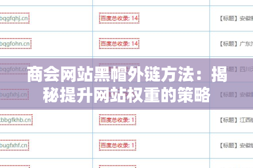 商会网站黑帽外链方法：揭秘提升网站权重的策略
