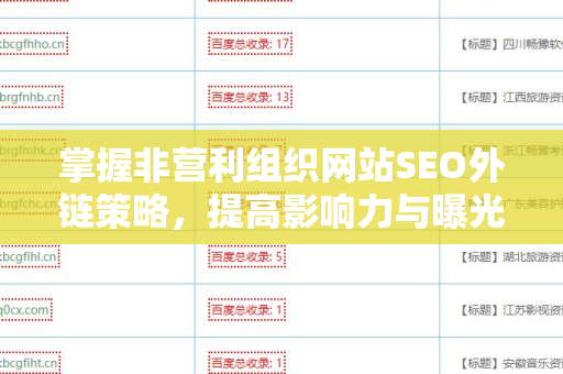 掌握非营利组织网站SEO外链策略，提高影响力与曝光度