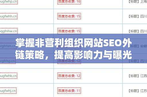 掌握非营利组织网站SEO外链策略，提高影响力与曝光度
