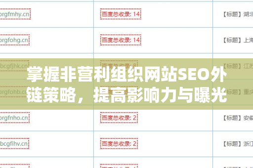 掌握非营利组织网站SEO外链策略，提高影响力与曝光度