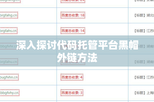 深入探讨代码托管平台黑帽外链方法