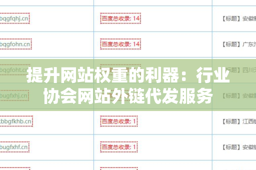 提升网站权重的利器：行业协会网站外链代发服务