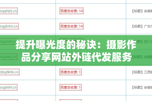 提升曝光度的秘诀：摄影作品分享网站外链代发服务