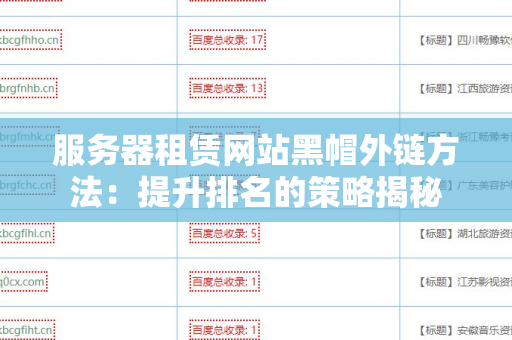 服务器租赁网站黑帽外链方法：提升排名的策略揭秘