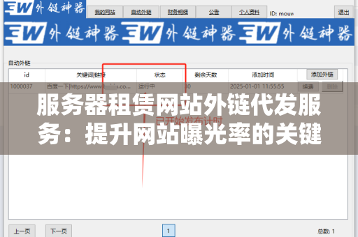服务器租赁网站外链代发服务：提升网站曝光率的关键策略