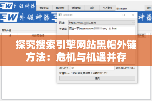 探究搜索引擎网站黑帽外链方法：危机与机遇并存